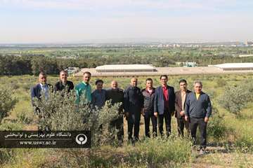 همایش پیاده روی در مرکز آموزشی - درمانی رازی